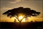 africa-001.jpg