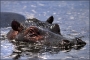 africa-033.jpg