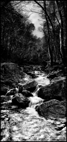 torrente vivoli